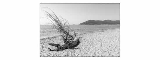 Fototapeta Plaża Morze Piasek 90 x 135 /140903632