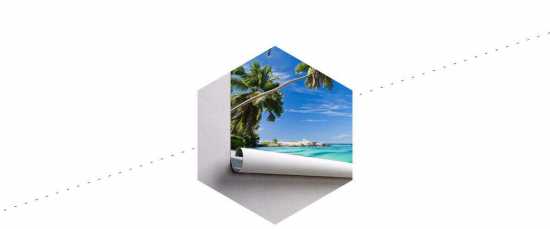 Fototapeta Plaża Ocean Palmy 90 x 135 /32258072