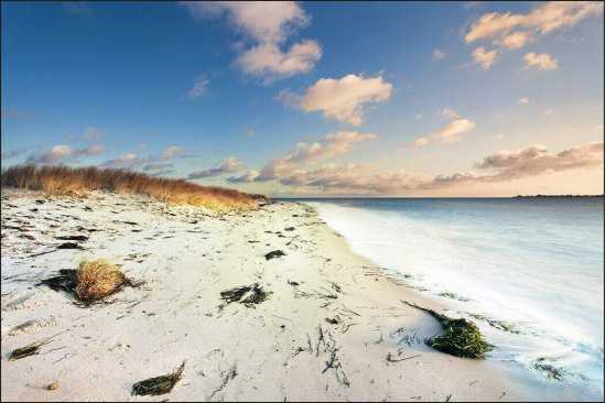 Fototapeta Plaża Morze Wydmy 90 x 135 /43619307