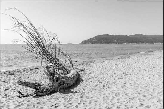 Fototapeta Plaża Morze Piasek 300 x 450 /140903632