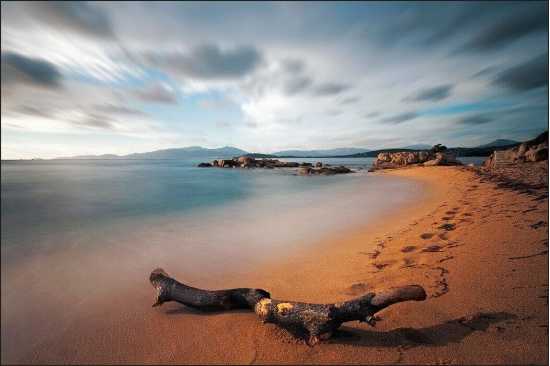 Fototapeta Plaża Morze Piasek 520x318 /91503988